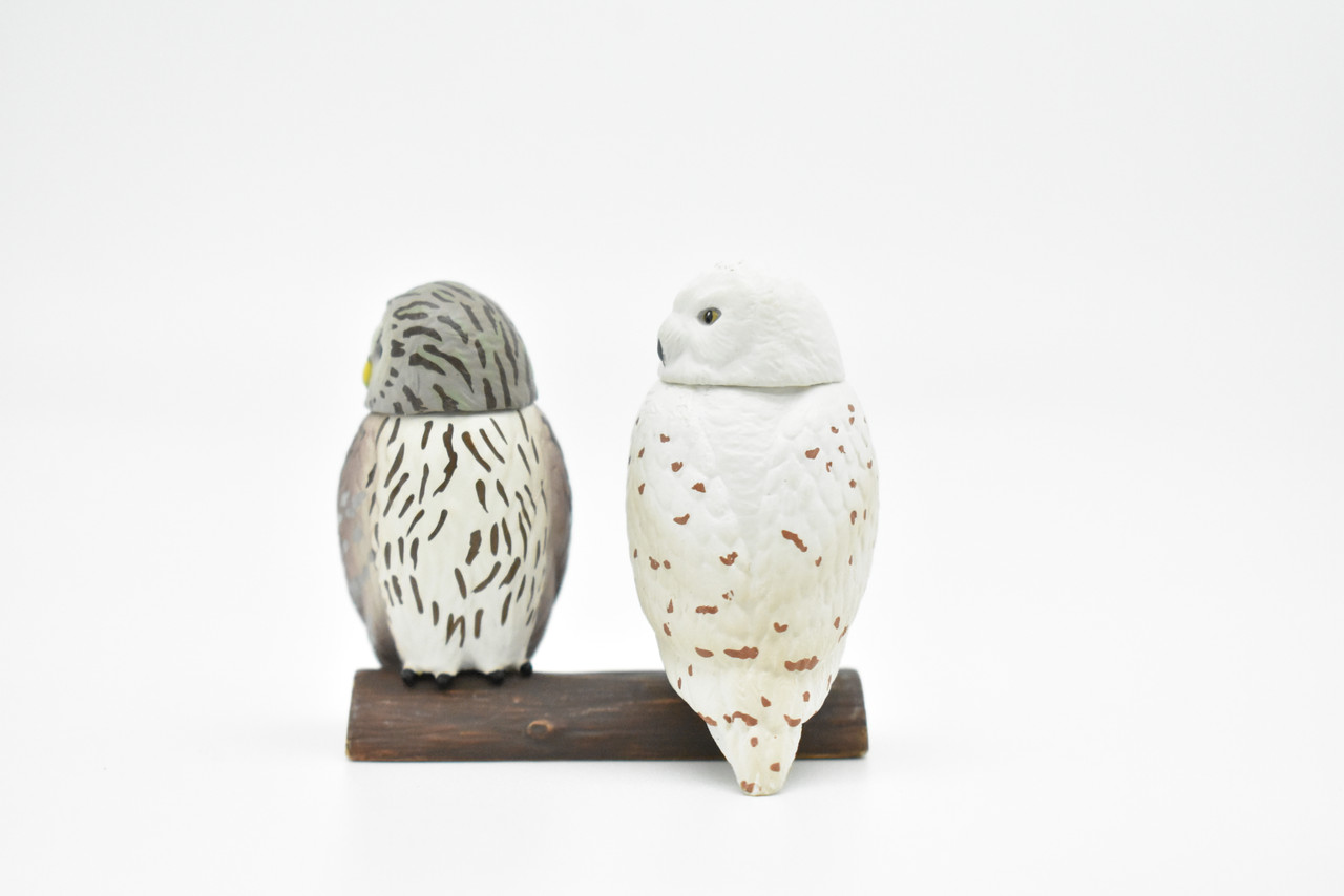 Snowy Owl, Set of 2, Very Nice Rubber Birds, Hand Painted, Educational, Diorama, Realistic Figure, Lifelike, Replica, Toy, Kids, Gift,   2 Inches.    F090 B383