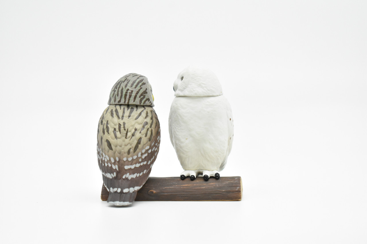 Snowy Owl, Set of 2, Very Nice Rubber Birds, Hand Painted, Educational, Diorama, Realistic Figure, Lifelike, Replica, Toy, Kids, Gift,   2 Inches.    F090 B383
