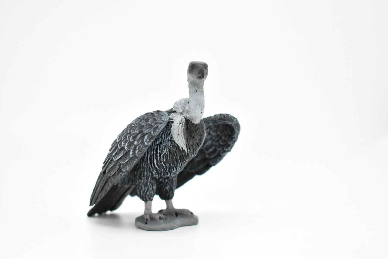 Vulture, Griffon, Museum Quality Plastic Toy Hand Painted Model      3 1/2"