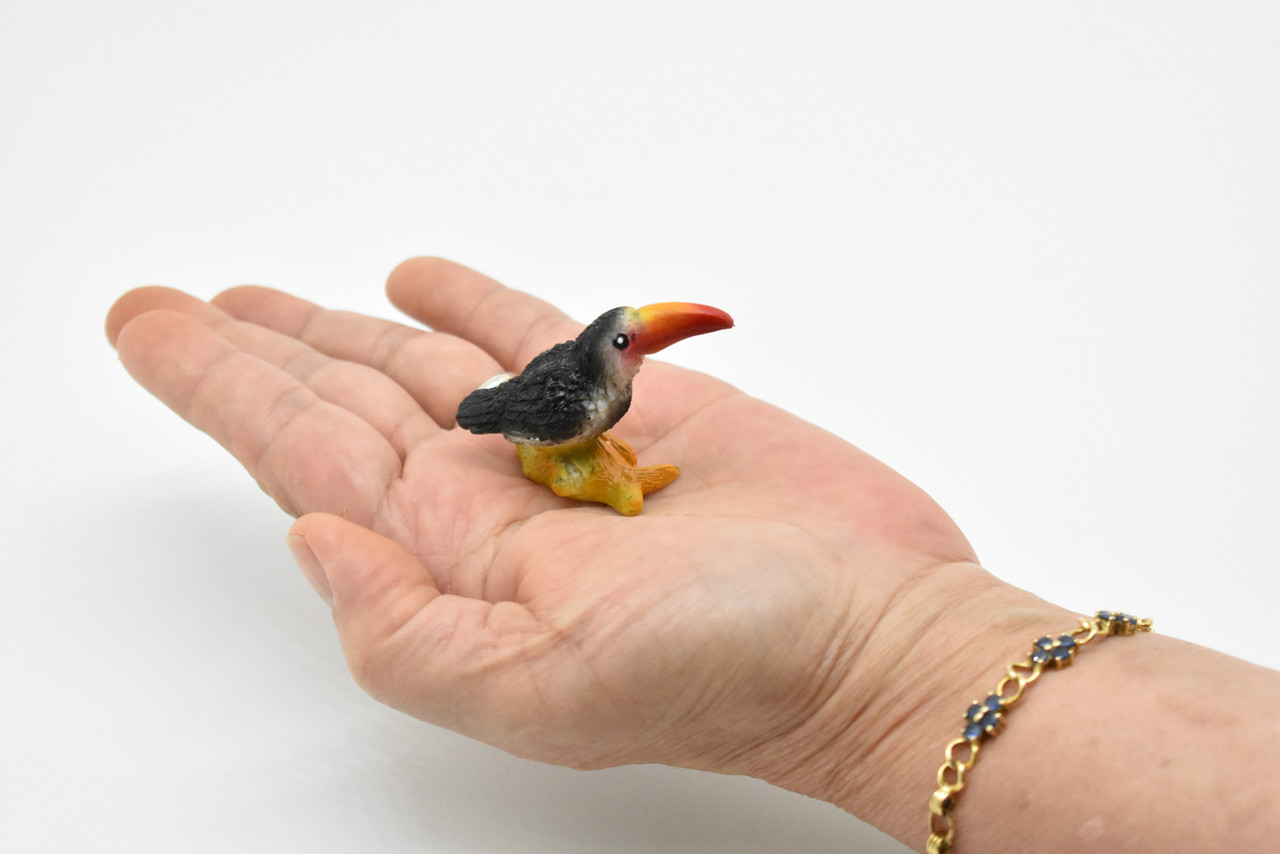 Toucan, Very Nice Rubber Bird, Hand Painted, Educational,  Realistic, Diorama, Very Nice Design, Figure, Toys, Kids,  2 Inches