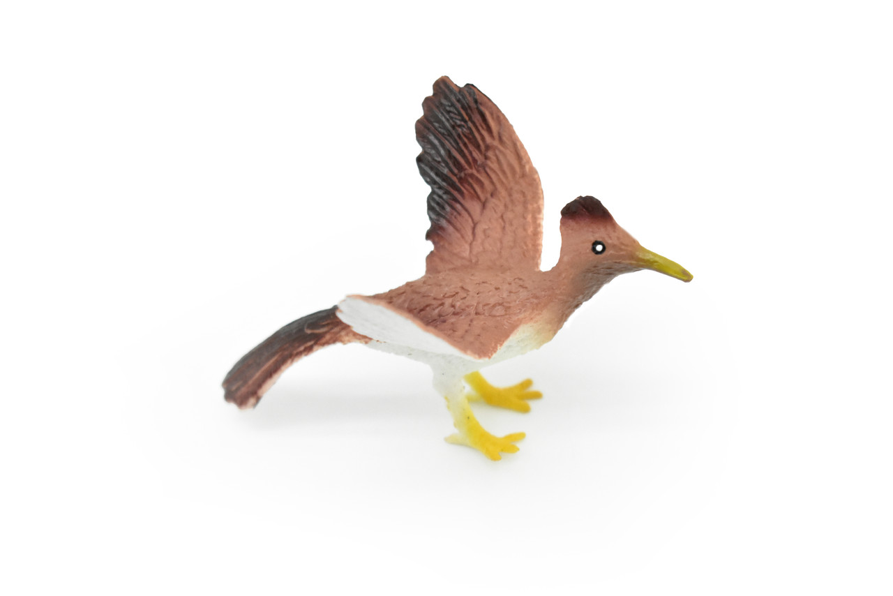 Roadrunner, Desert Bird, Geococcyx californianus, Very Nice Rubber Design, Educational, Diorama, Realistic Figure, Lifelike, Replica, Toy, Kids,  3 Inches.