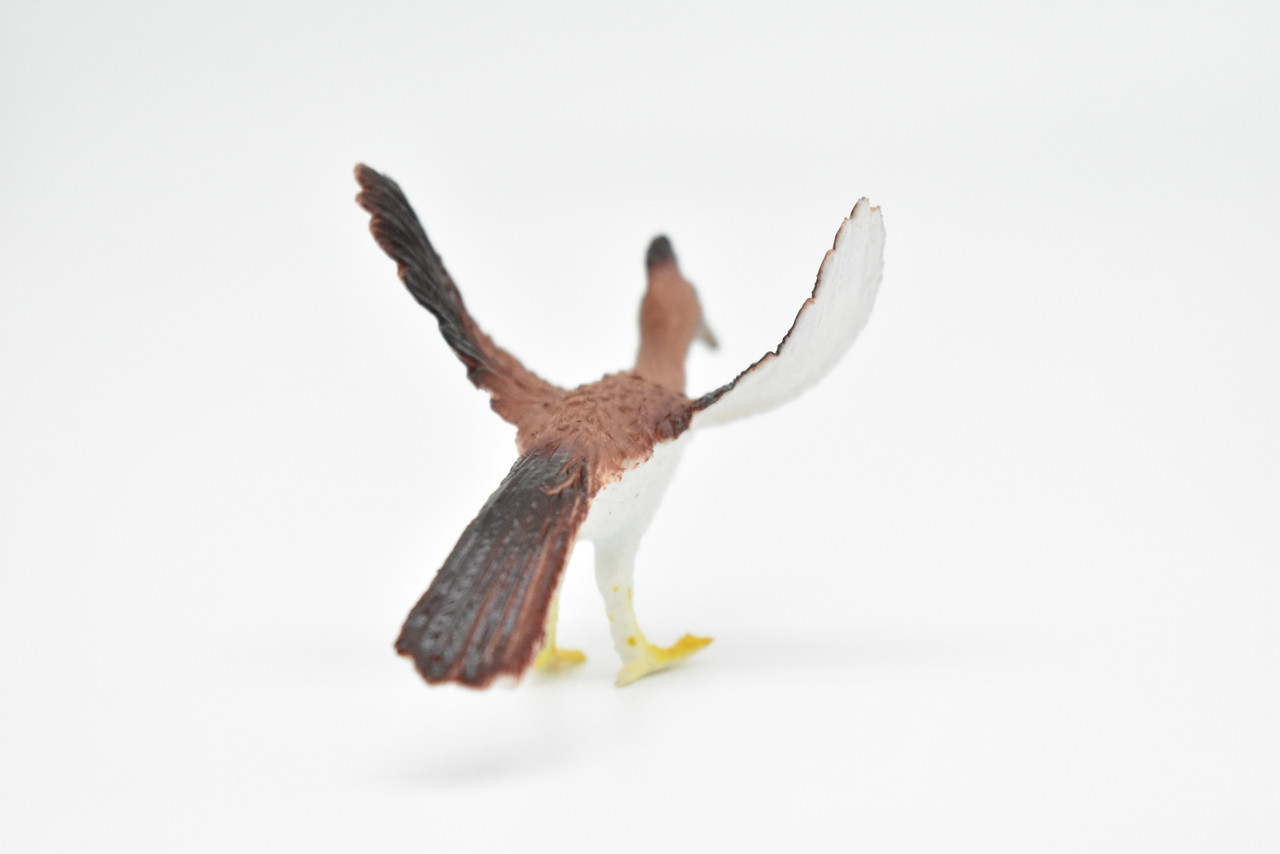 Roadrunner, Desert Bird, Geococcyx californianus, Very Nice Rubber Design, Educational, Diorama, Realistic Figure, Lifelike, Replica, Toy, Kids, Gift,   3 Inches.  F623 B131   