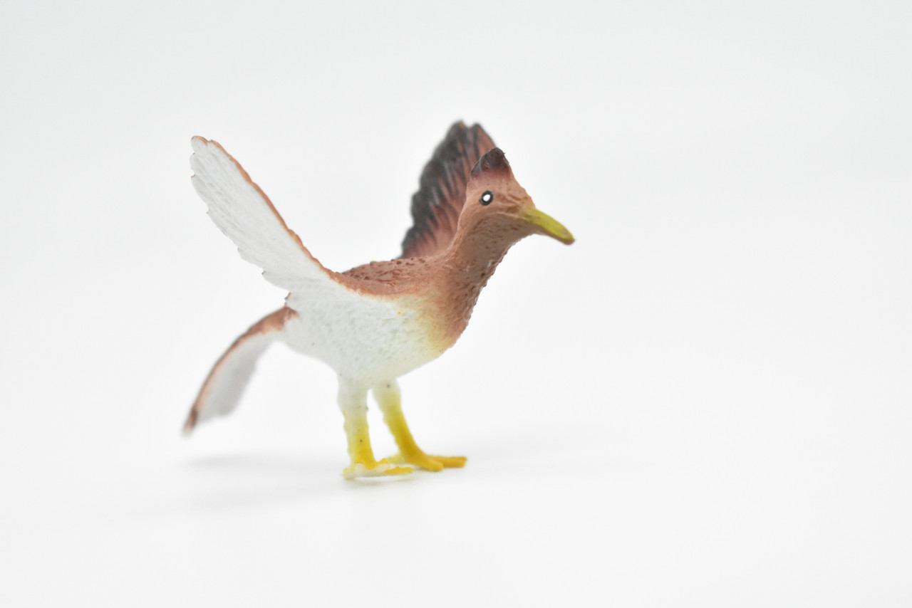 Roadrunner, Desert Bird, Geococcyx californianus, Very Nice Rubber Design, Educational, Diorama, Realistic Figure, Lifelike, Replica, Toy, Kids, Gift,   3 Inches.  F623 B131   