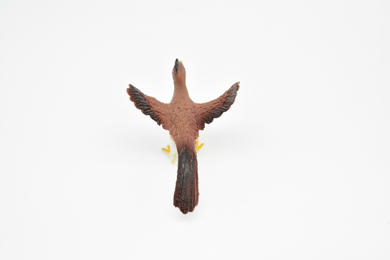 Roadrunner, Desert Bird, Geococcyx californianus, Very Nice Rubber Design, Educational, Diorama, Realistic Figure, Lifelike, Replica, Toy, Kids, Gift,   3 Inches.  F623 B131   