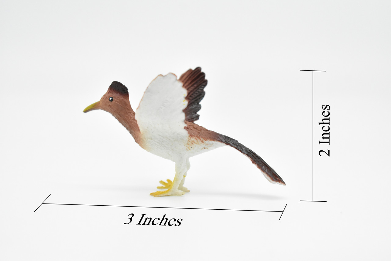 Roadrunner, Desert Bird, Geococcyx californianus, Very Nice Rubber Design, Educational, Diorama, Realistic Figure, Lifelike, Replica, Toy, Kids,  3 Inches.