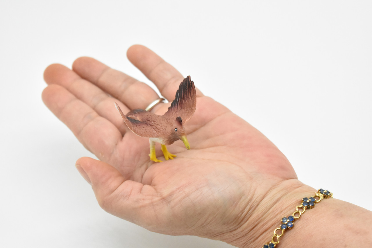 Roadrunner, Desert Bird, Geococcyx californianus, Very Nice Rubber Design, Educational, Diorama, Realistic Figure, Lifelike, Replica, Toy, Kids,  3 Inches.