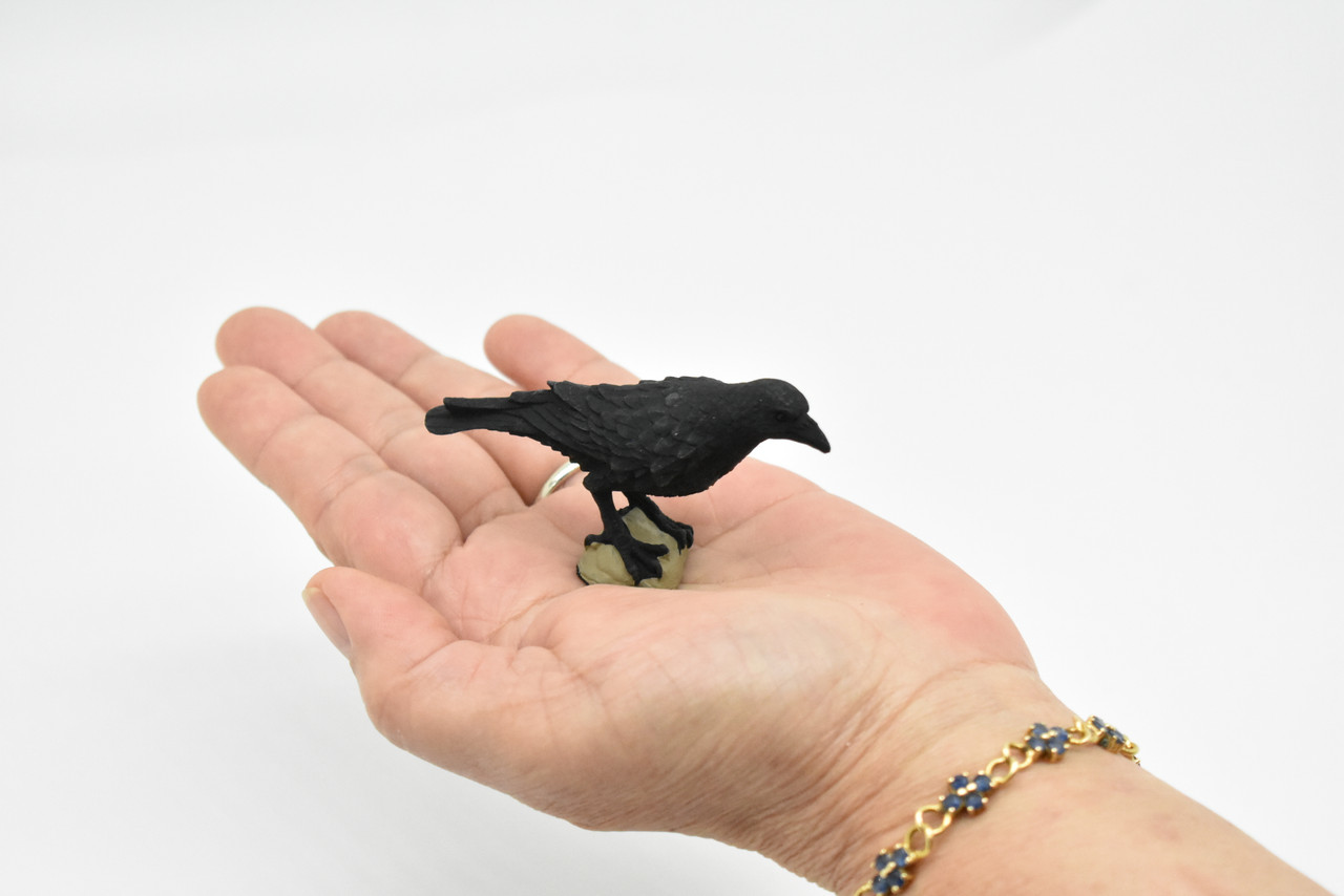 Raven, Crow Toy, Realistic Plastic Scale Model     3"      F1993 B624