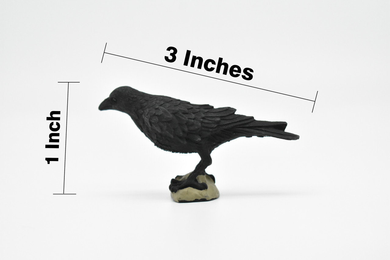 Raven, Crow Toy, Realistic Plastic Scale Model     3"      F1993 B624