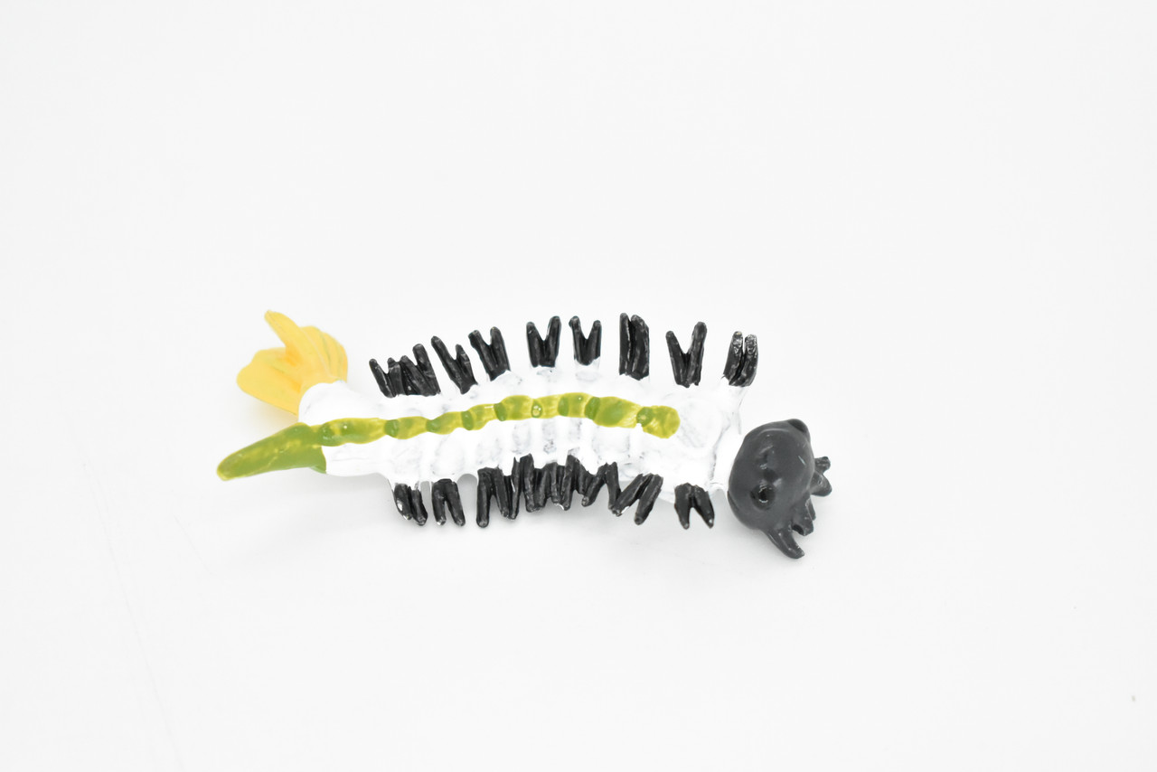 Mosquito Life Cycle, 4 Stages, Very Nice Rubber Design, Educational, Hand Painted, Rubber Insect, Figure, Diorama Model, Realistic, Kids, Toys, 2 1/2 Inches.