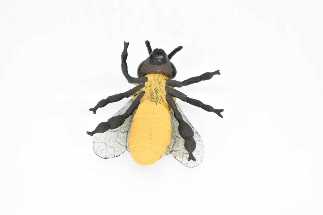 Bee, Bumblebee, Hornet, Yellowjacket, Museum Quality, Rubber Insect, Hand Painted, Realistic Toy Figure, Diorama Model, Kids, Educational,  3 Inches.