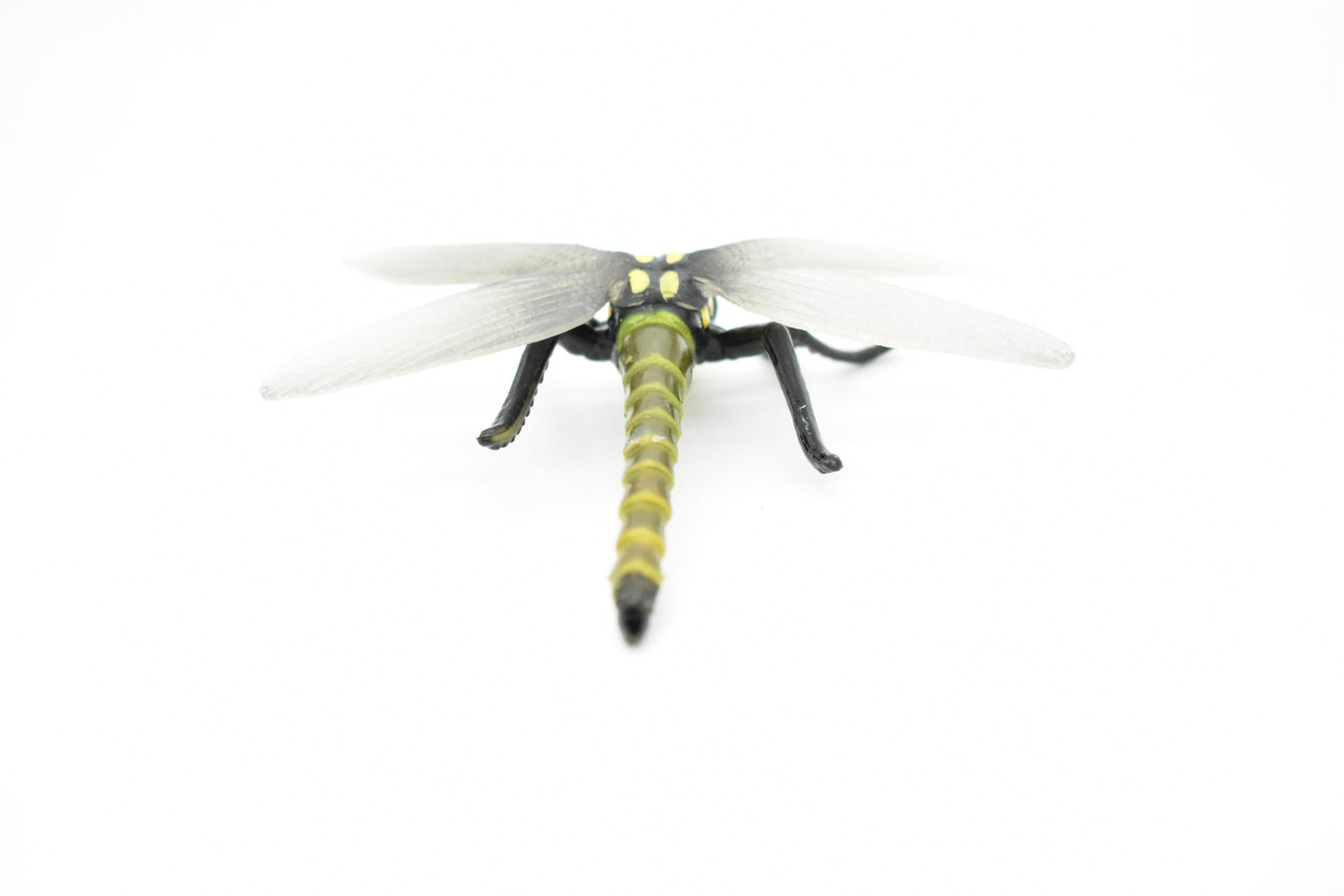 Dragonfly, Insect, Very Realistic Rubber Figure, Model, Educational, Animal, Hand Painted Figurines, Toy  4"    CH016 BB71