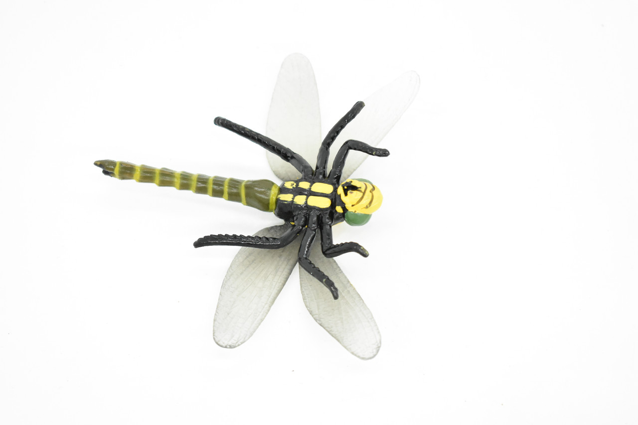 Dragonfly, Insect, Very Realistic Rubber Figure, Model, Educational, Animal, Hand Painted Figurines, Toy  4"    CH016 BB71