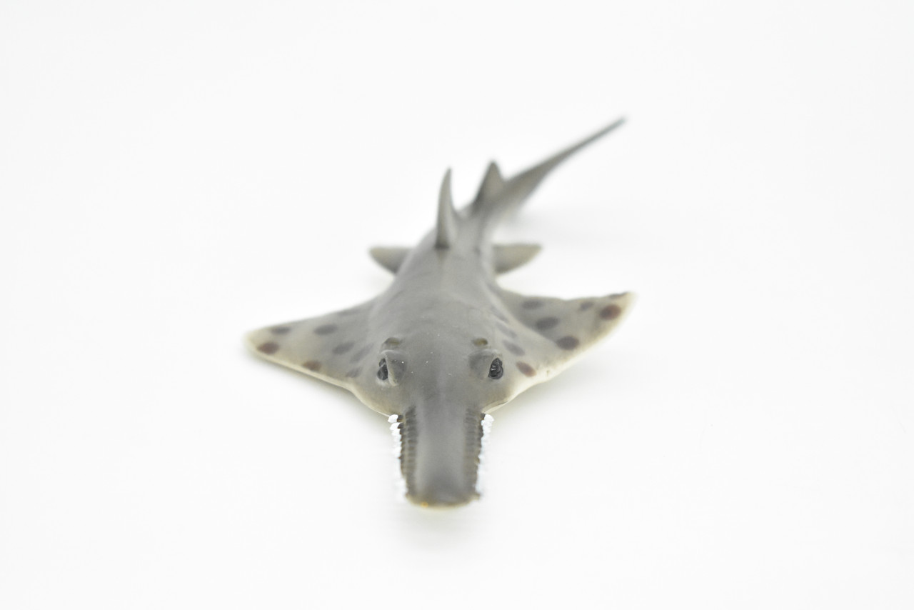 Sawfish, Carpenter shark, Museum Quality, Educational, Rubber Fish, Hand Painted, Realistic Toy Figure, Diorama Model, Kids, 5 Inches.