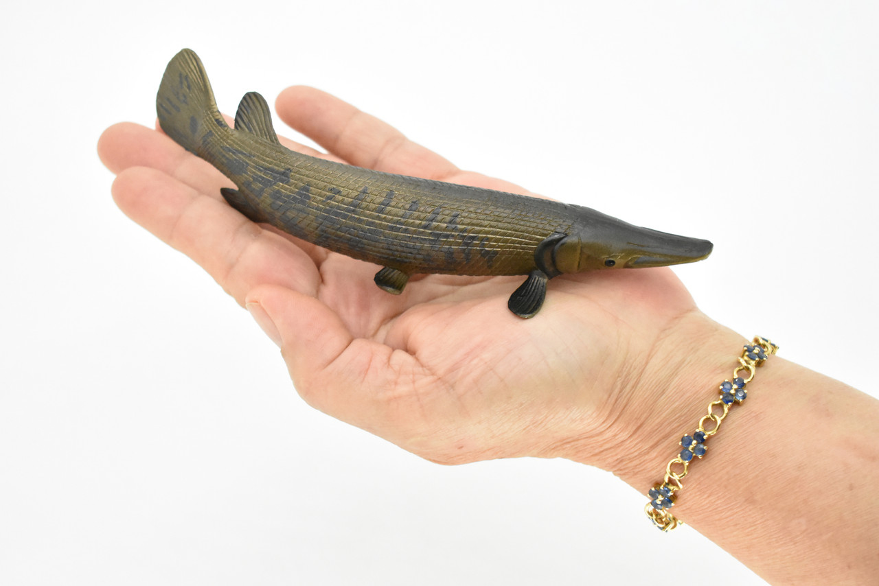 Alligator Gar, Fish, Atractosteus spatula, Toy, Very Realistic Rubber Figure, Model, Educational, Animal, Hand Painted Figurines,   6"   CH028 BB73