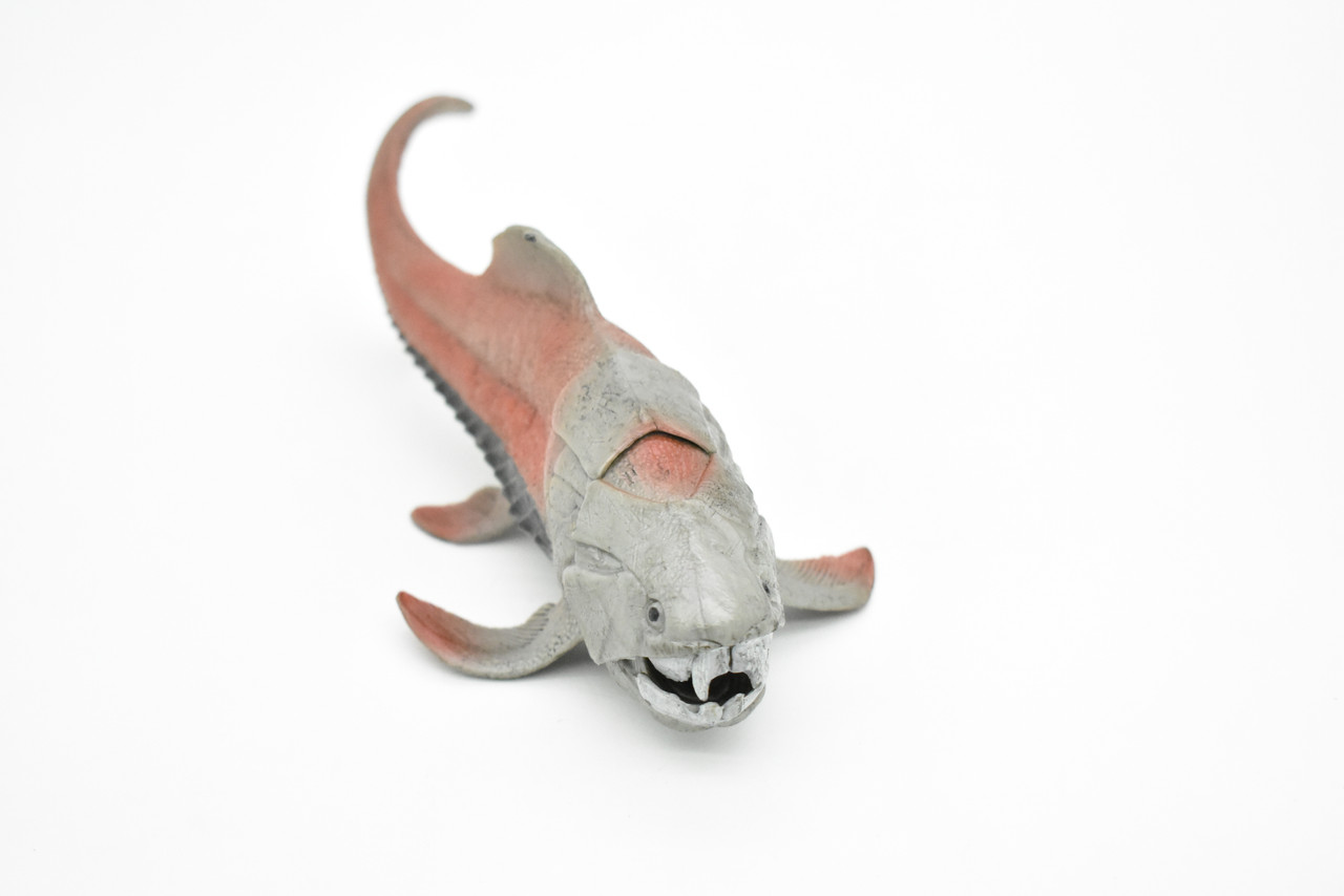 Dunkleosteus, Prehistoric Fish, Dinosaur, Museum Quality, Hand Painted, Realistic, Toy, Figure, Model, Replica, Kids, Educational, Gift,    8"  CH032 BB74
