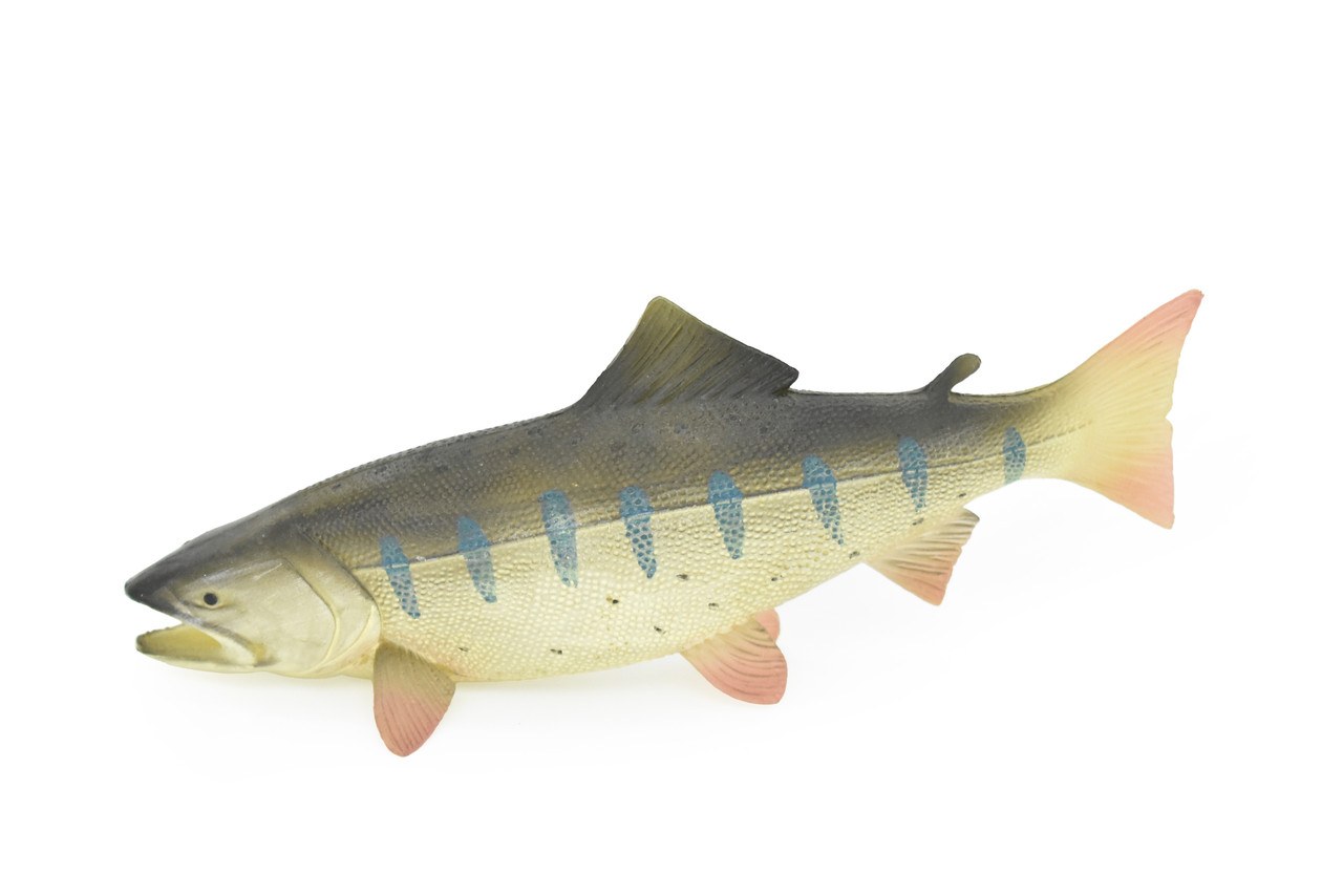 Salmon, Toy, King, Chinook, Fish, Very Realistic Rubber Figure, Model, Educational, Animal, Hand Painted Figurines,    6"    CH033 BB74