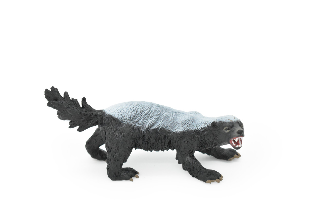 Honey Badger, Mellivora capensis, Museum Quality, Educational, Rubber Animal, Hand Painted, Realistic, Diorama Model, Toy, Kids,  5 Inches.