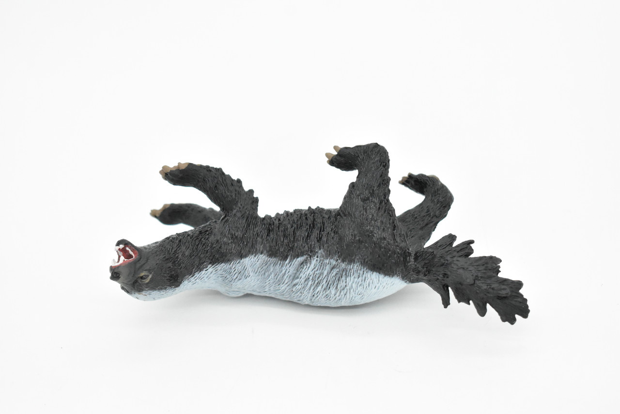 Badger, Honey, Ratel, Very Realistic Rubber Reproduction, Hand Painted  Figurines, 5 CH040 BB76