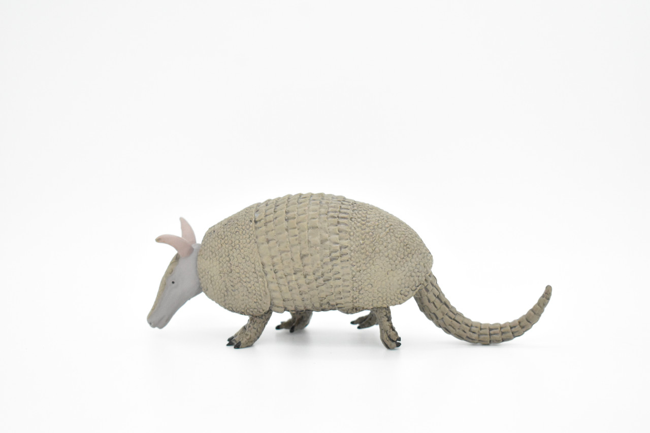 Armadillo, Cingulata, High Quality, Hand Painted, Rubber, Toy Figure, Realistic, Lifelike Model, Replica, Kids, Educational, Gift,  6"    CH041 BB76