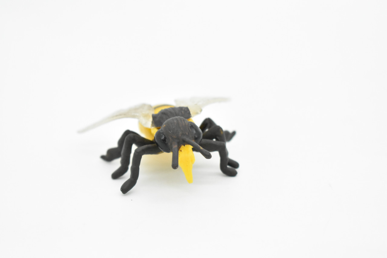 Bee, Anthophila, Honey bee, Very Realistic Rubber Design,  Educational, Hand Painted, Rubber Insect, Diorama Model, Kids, Toys,  3 Inches. 