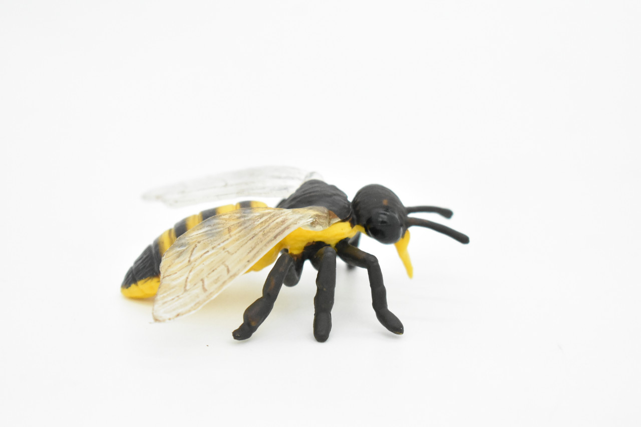 Wasp Toy, Bee, Very Realistic Rubber Figure, Model, Educational, Animal, Hand Painted Figurines,  3"    CH043 BB76