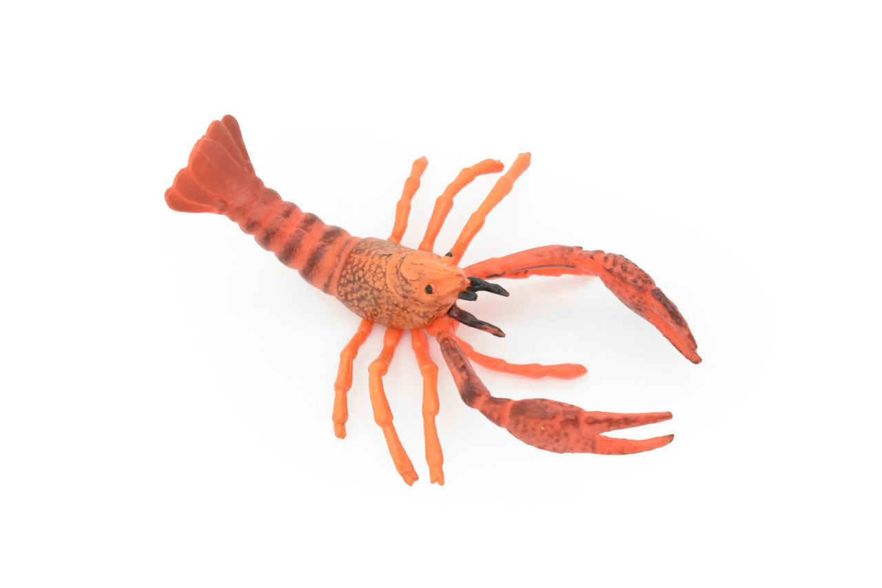 Crayfish Toy, Crawfish, Crawdads, Very Realistic Rubber Figure, Model, Educational, Animal, Hand Painted Figurines,  4"    CH045 BB76