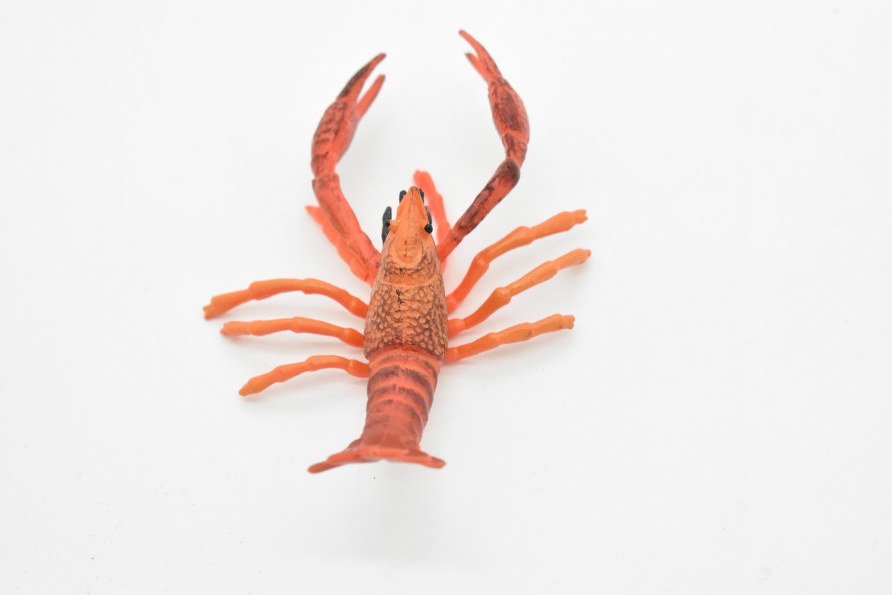 Crayfish Toy, Crawfish, Crawdads, Very Realistic Rubber Figure, Model, Educational, Animal, Hand Painted Figurines,  4"    CH045 BB76