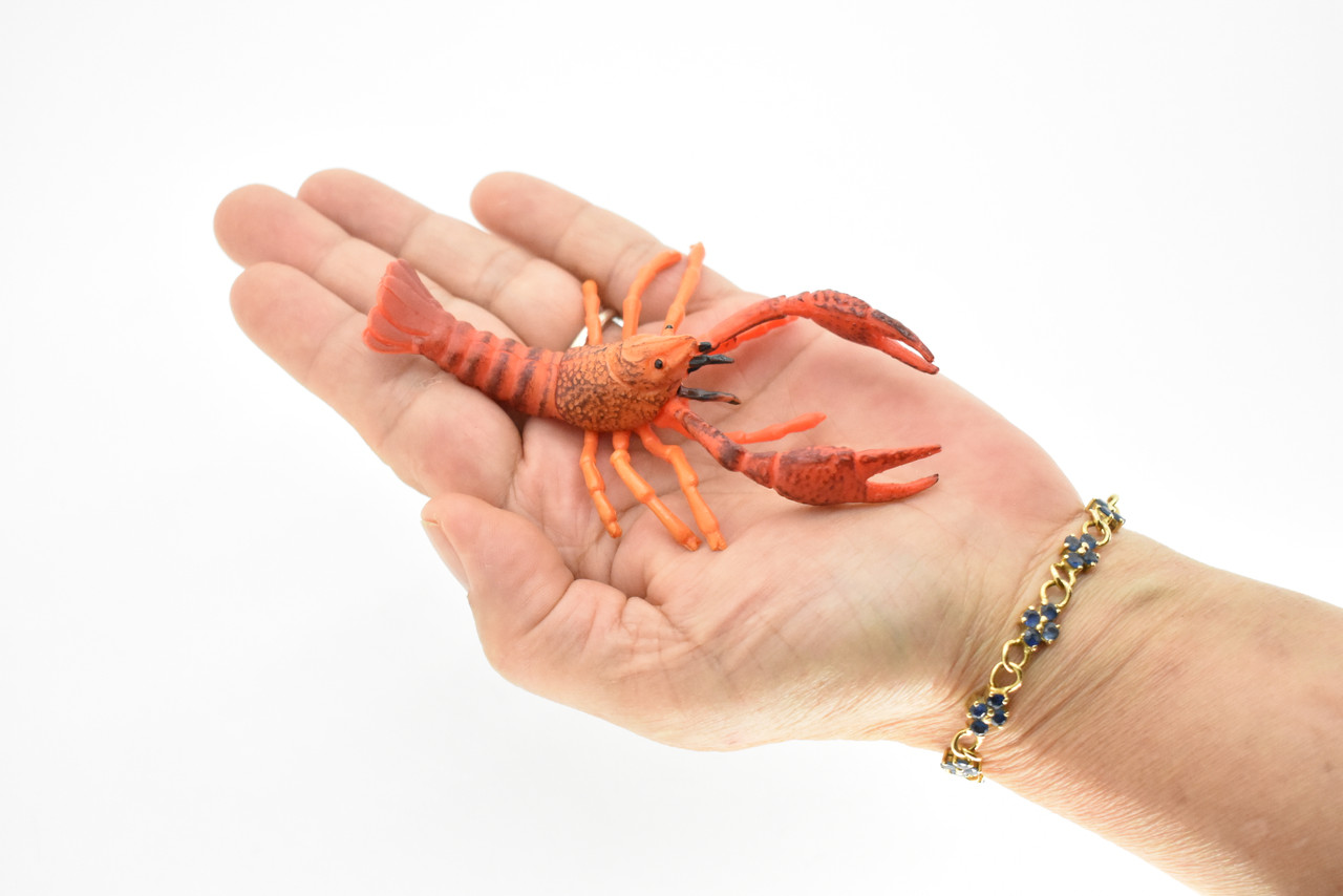 Crayfish Toy, Crawfish, Crawdads, Very Realistic Rubber Figure, Model, Educational, Animal, Hand Painted Figurines,  4"    CH045 BB76