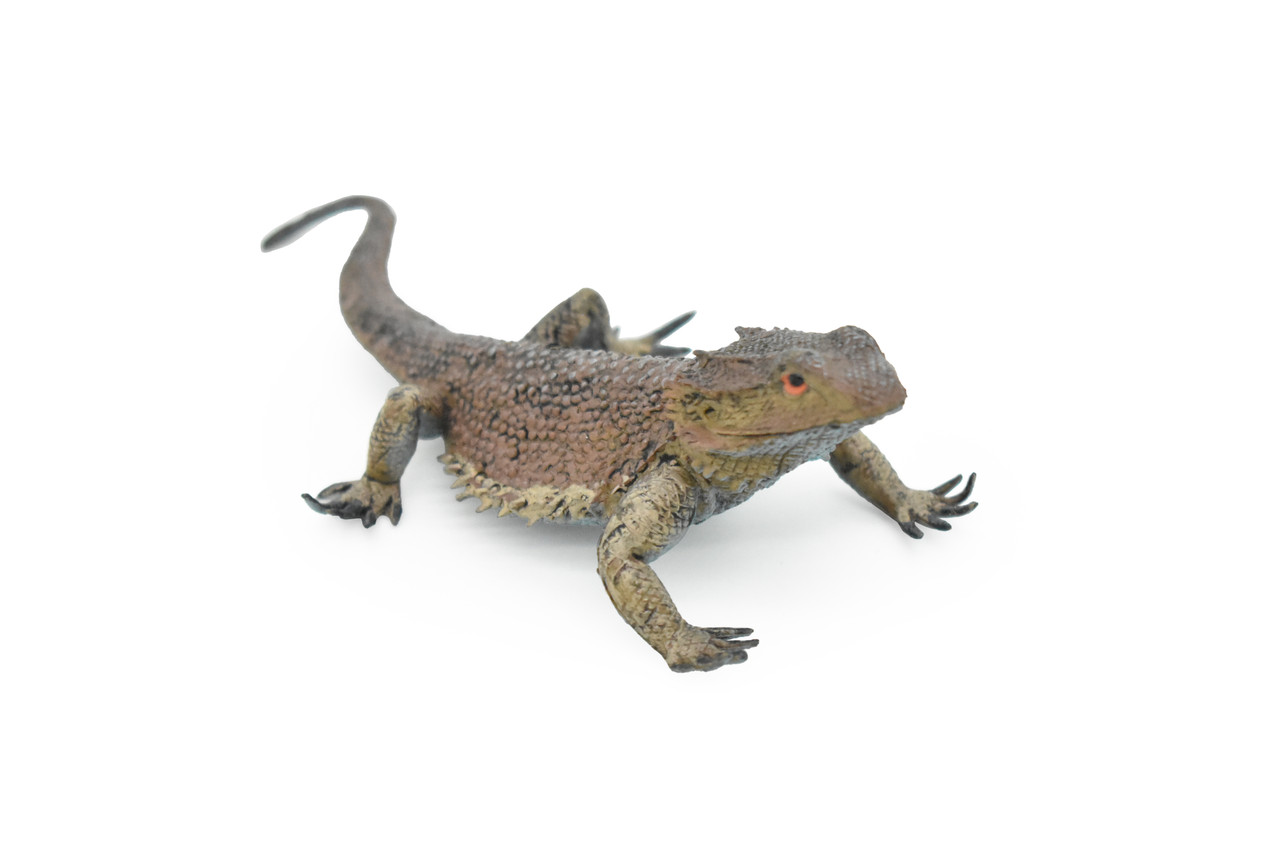 Horned Lizard, Horney Toad, Museum Quality, Hand Painted, Very Realistic Rubber Figure, Reptiles, Bearded Dragon, Educational, Toy, Kids,  5 Inches.  