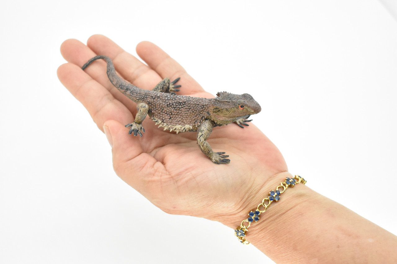 Horned Lizard, Horney Toad, Museum Quality, Hand Painted, Very Realistic Rubber Figure, Reptiles, Bearded Dragon, Educational, Toy, Kids,  5 Inches.  