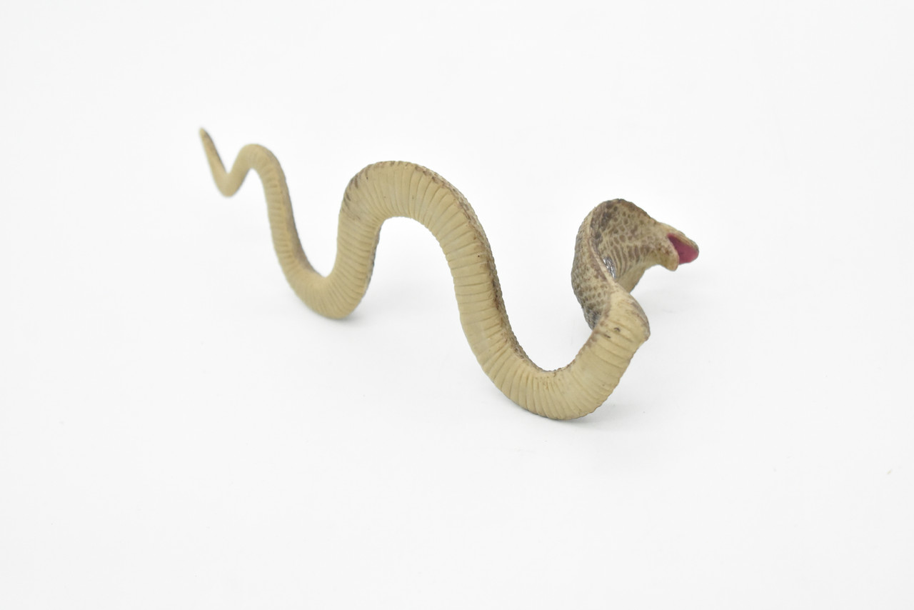 Cobra, King, Snake, Reptiles, Very Realistic Rubber Reproduction, Hand