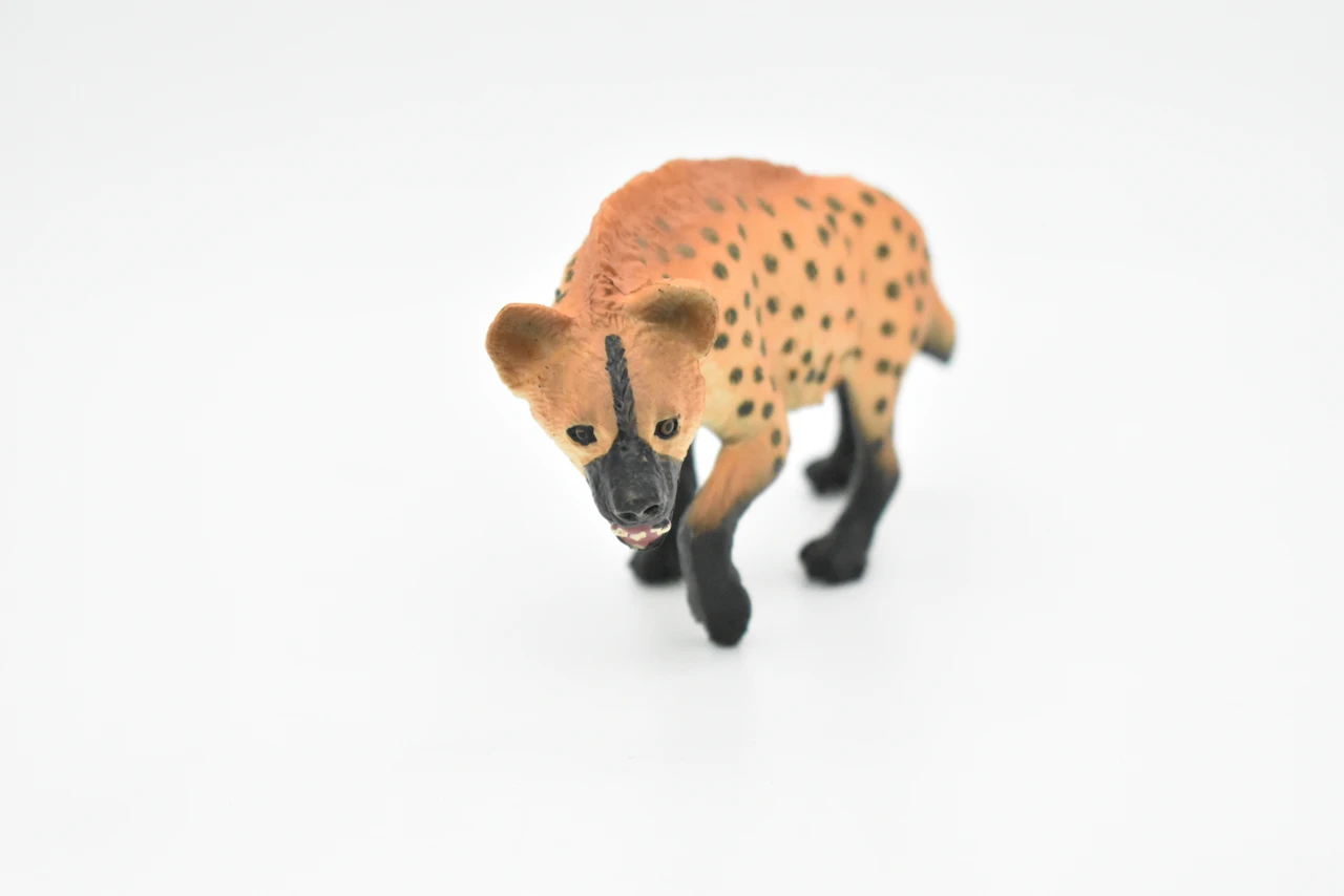 Spotted Hyena, Crocuta crocuta, Museum Quality, Hand Painted, Educational, Rubber Animal, Realistic Toy Figure, Diorama Model, Kids,  4 1/2 Inches.