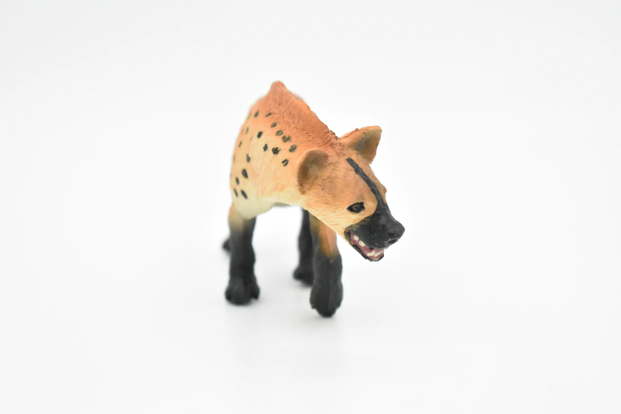 Spotted Hyena, Crocuta crocuta, Museum Quality, Hand Painted, Educational, Rubber Animal, Realistic Toy Figure, Diorama Model, Kids,  4 1/2 Inches.