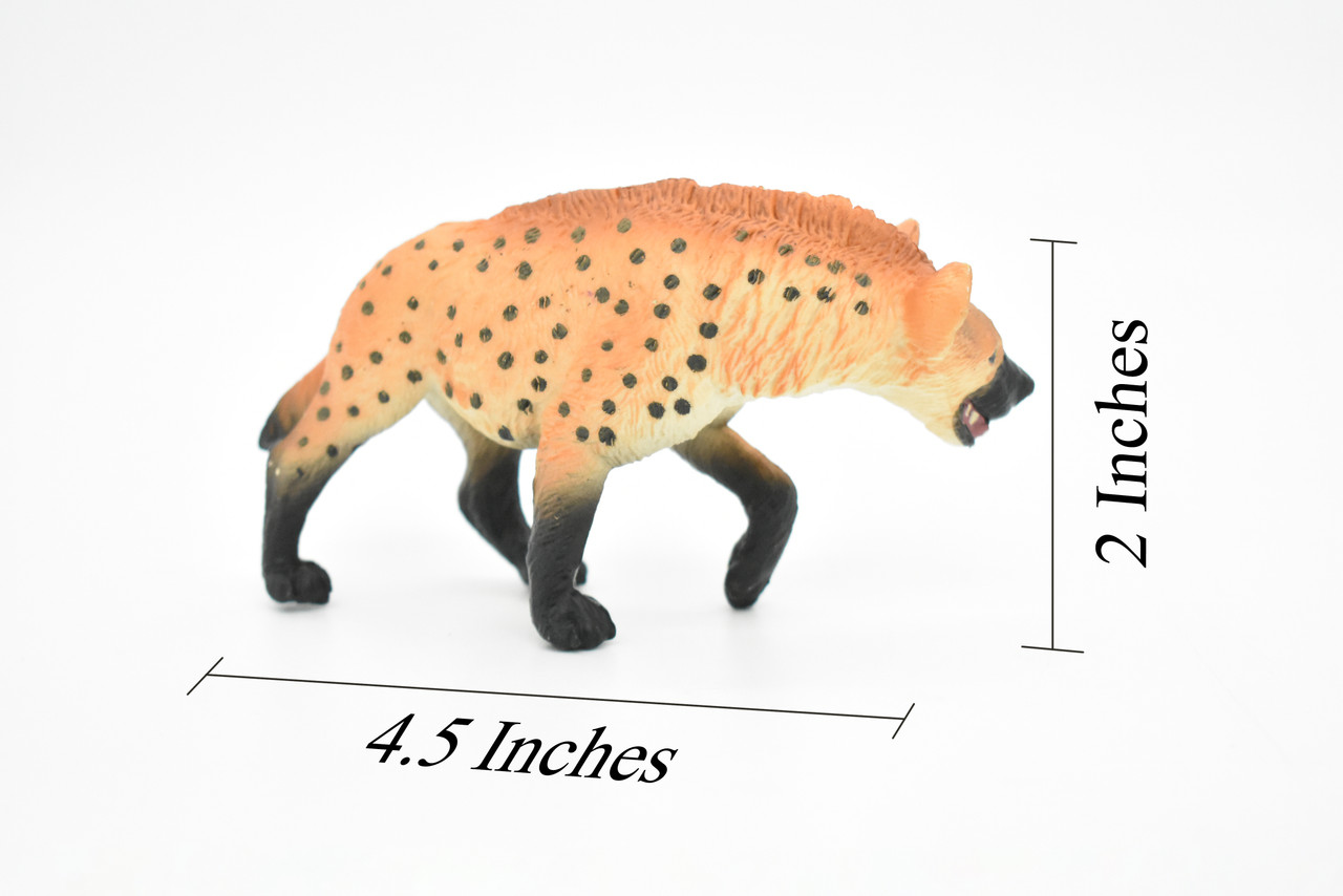 Spotted Hyena, Crocuta crocuta, Museum Quality, Hand Painted, Educational, Rubber Animal, Realistic Toy Figure, Diorama Model, Kids,  4 1/2 Inches.