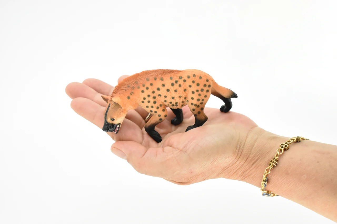 Spotted Hyena, Crocuta crocuta, Museum Quality, Hand Painted, Educational, Rubber Animal, Realistic Toy Figure, Diorama Model, Kids,  4 1/2 Inches.