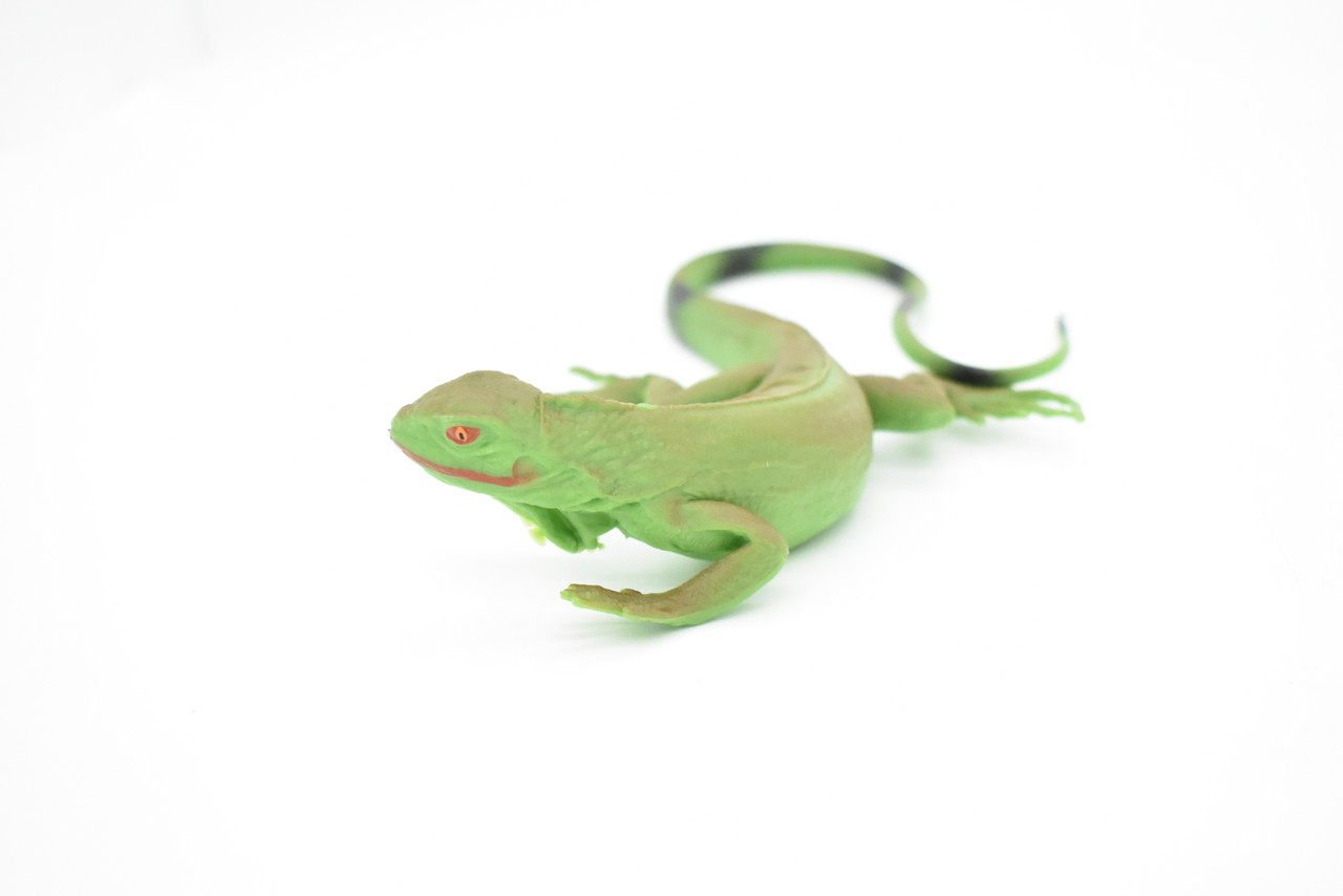 Lizard, Iguana, Green, Museum Quality, Rubber Reptile, Hand Painted, Realistic Toy Figure, Model, Replica, Kids, Educational, Gift,     7"   CH053 BB78