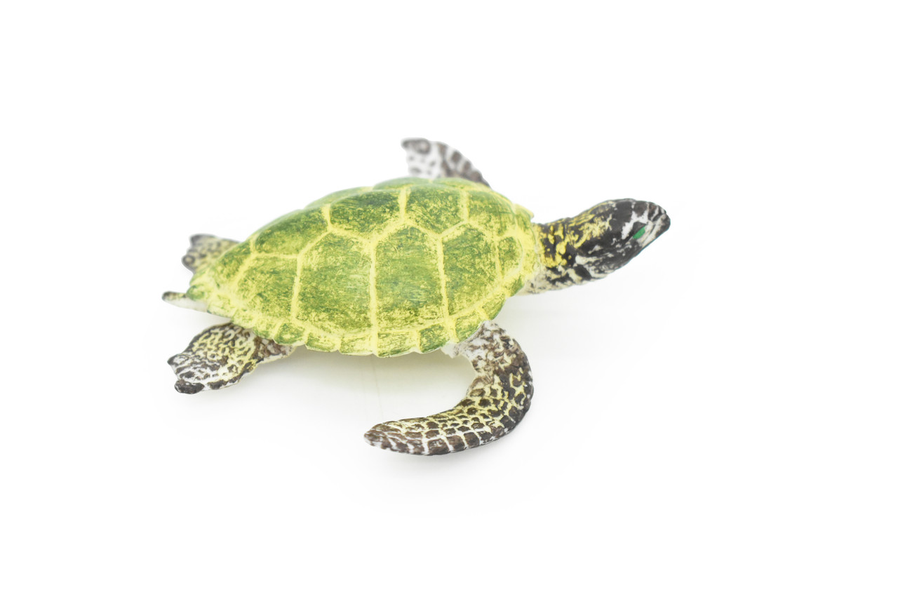 Sea Turtle Toy, Green, Museum Quality Rubber Figure, Model, Educational, Animal, Hand Painted Figurines,  4" CH055 BB78