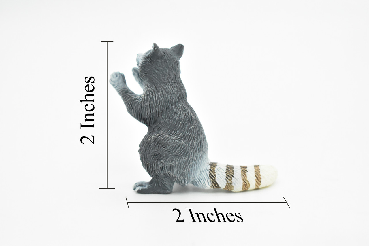 Raccoon Toy, Sitting, Very Realistic Rubber Figure, Model, Educational, Animal, Hand Painted Figurines,       2"       CH058 BB78