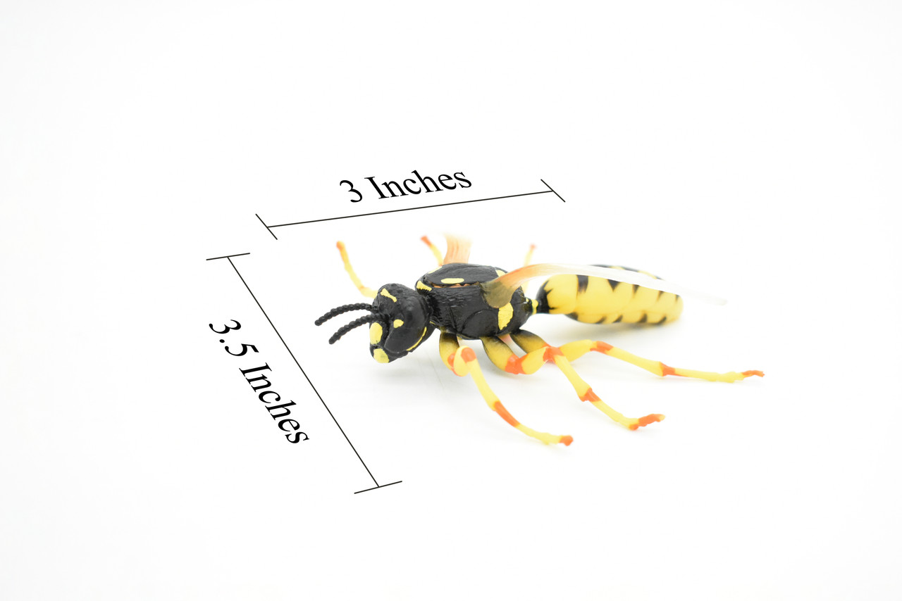 Hornet Toy, Killer, Wasp, Insect, Very Realistic Rubber Figure, Model, Educational, Animal, Hand Painted Figurines,       3.5"       CH060 BB79