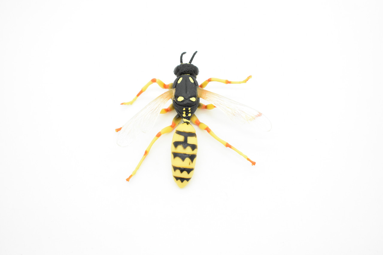 Hornet Toy, Killer, Wasp, Insect, Very Realistic Rubber Figure, Model, Educational, Animal, Hand Painted Figurines,       3.5"       CH060 BB79