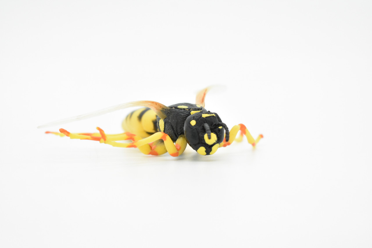 Hornet Toy, Killer, Wasp, Insect, Very Realistic Rubber Figure, Model, Educational, Animal, Hand Painted Figurines,       3.5"       CH060 BB79