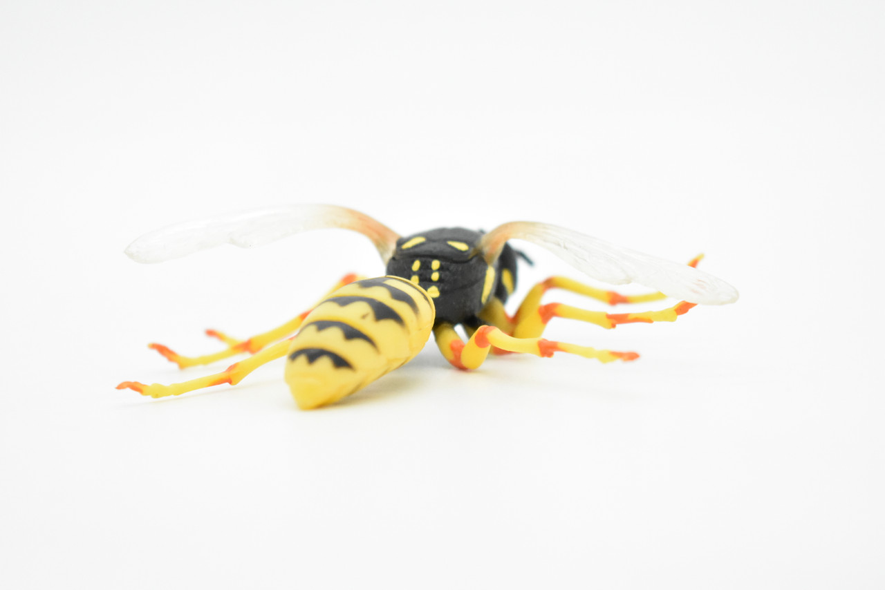 Hornet Toy, Killer, Wasp, Insect, Very Realistic Rubber Figure, Model, Educational, Animal, Hand Painted Figurines,       3.5"       CH060 BB79