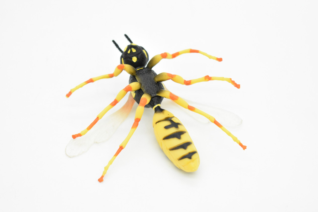 Hornet Toy, Killer, Wasp, Insect, Very Realistic Rubber Figure, Model, Educational, Animal, Hand Painted Figurines,       3.5"       CH060 BB79