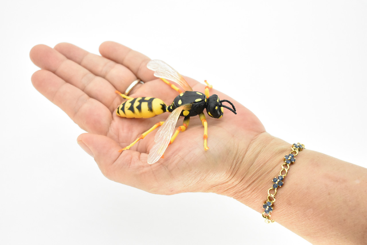 Hornet Toy, Killer, Wasp, Insect, Very Realistic Rubber Figure, Model, Educational, Animal, Hand Painted Figurines,       3.5"       CH060 BB79