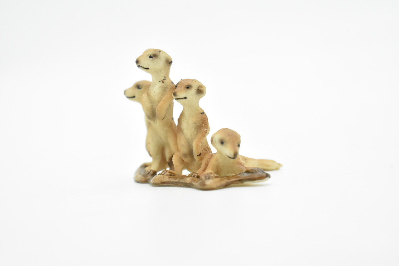 Meerkats, Toy, Mongoose, Family, Very Realistic Rubber Figure, Model, Educational, Animal, Hand Painted Figurines,       2.5"       CH062 BB79