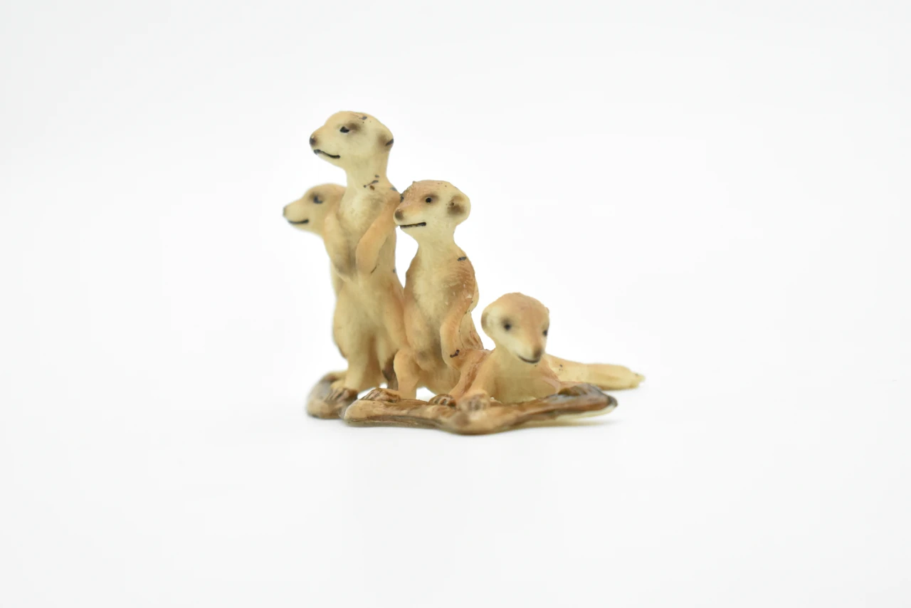 Meerkats Family, Suricata suricatta, Museum Quality, Hand Painted, Educational, Rubber Animal, Realistic Toy Figure, Diorama Model, Kids, 2 1/2 Inches