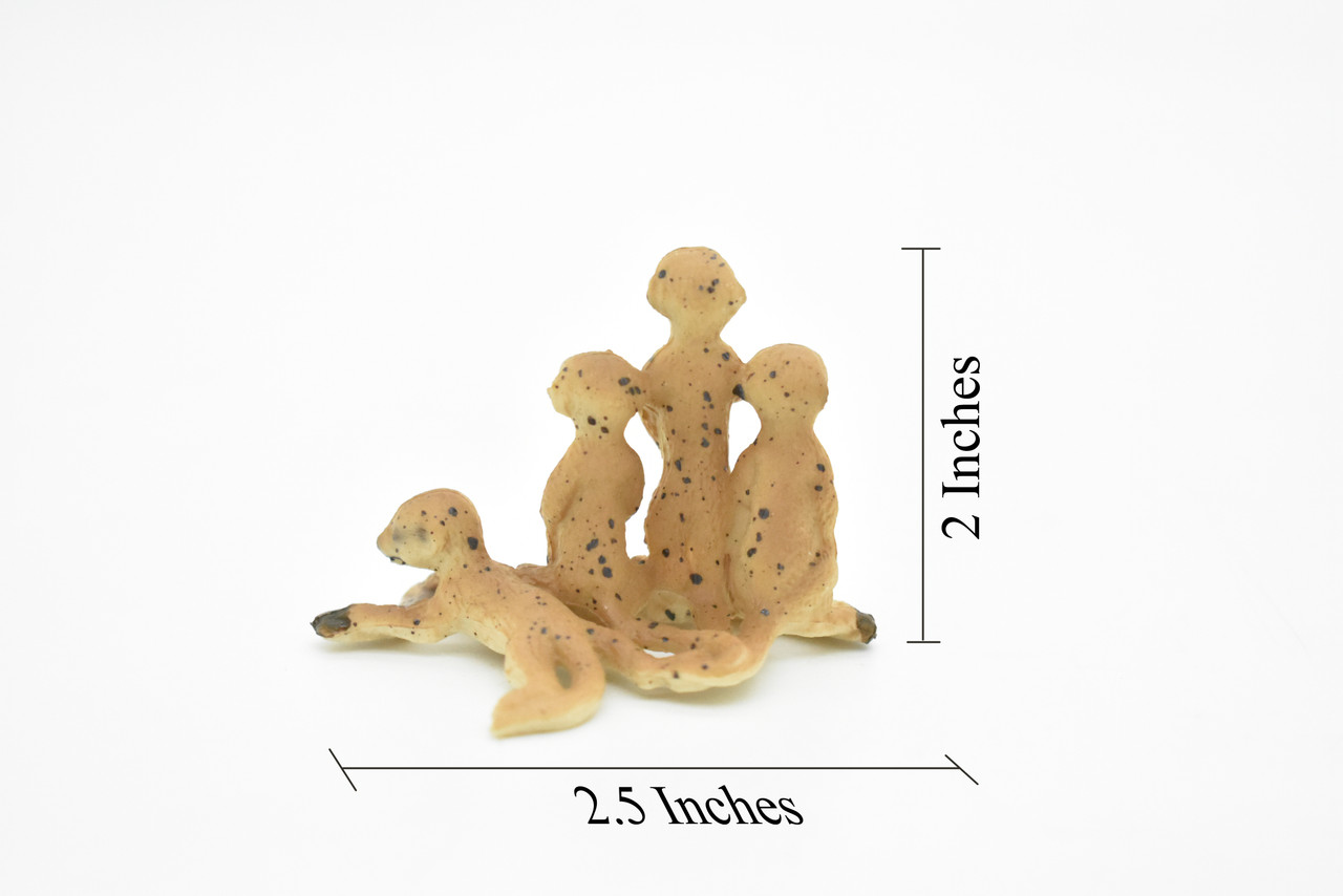 Meerkats Family, Suricata suricatta, Museum Quality, Hand Painted, Educational, Rubber Animal, Realistic Toy Figure, Diorama Model, Kids, 2 1/2 Inches