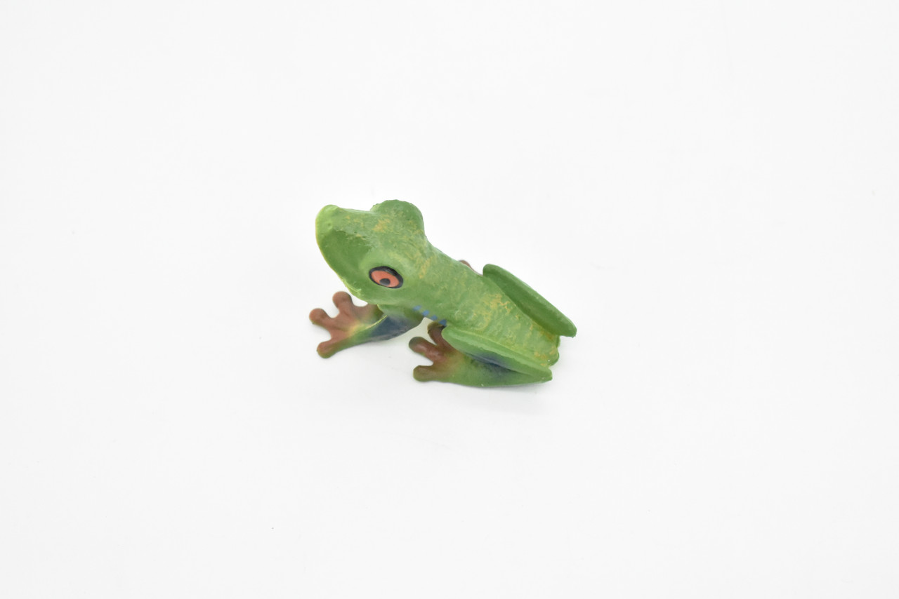 Red frog toy on white background / Green rubber frog toy - bath toy - white  background isolated / Platoon green toy frogs. Close up view / Toy frog  Photos