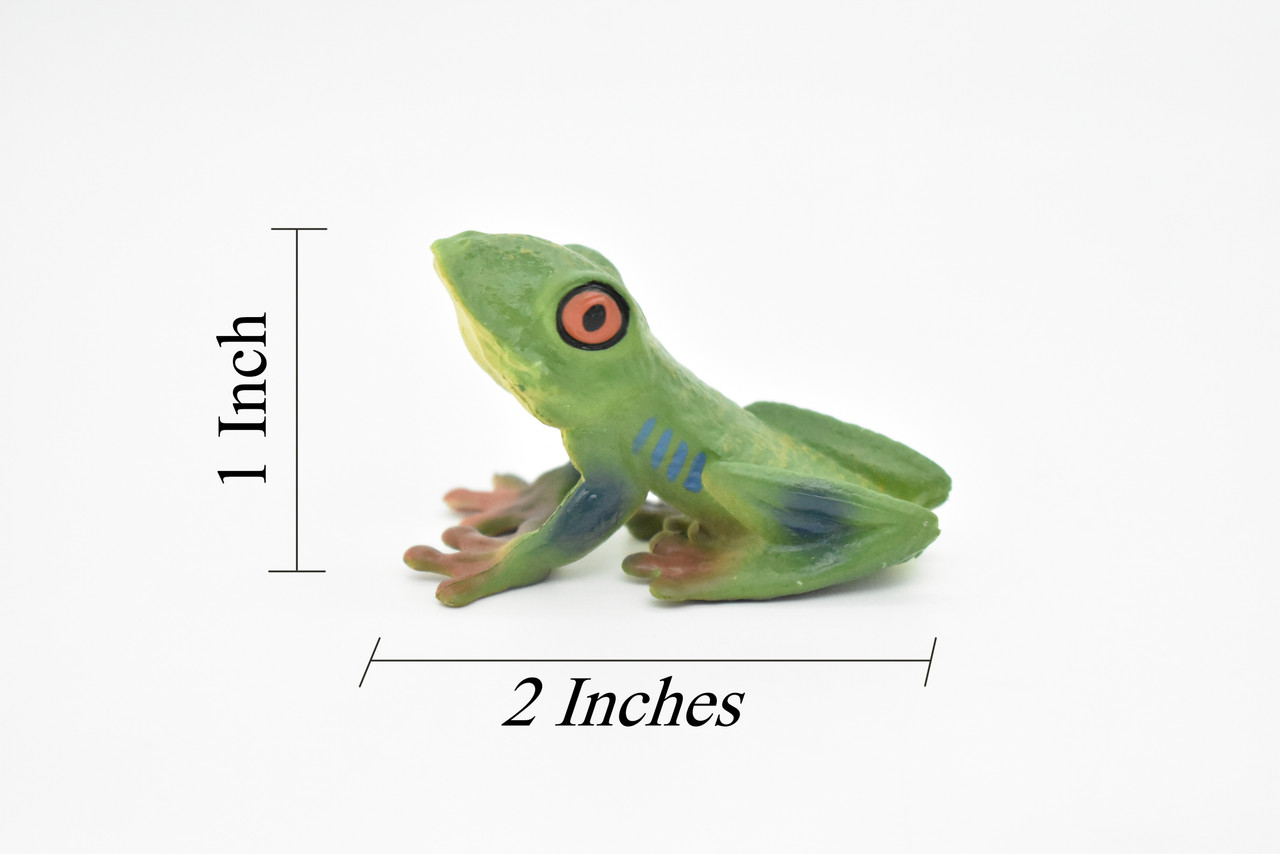 Frog, Red Eyed Tree Frog, Very Realistic Rubber Reproduction, Hand Painted  Figurines, 2 CH063 BB79