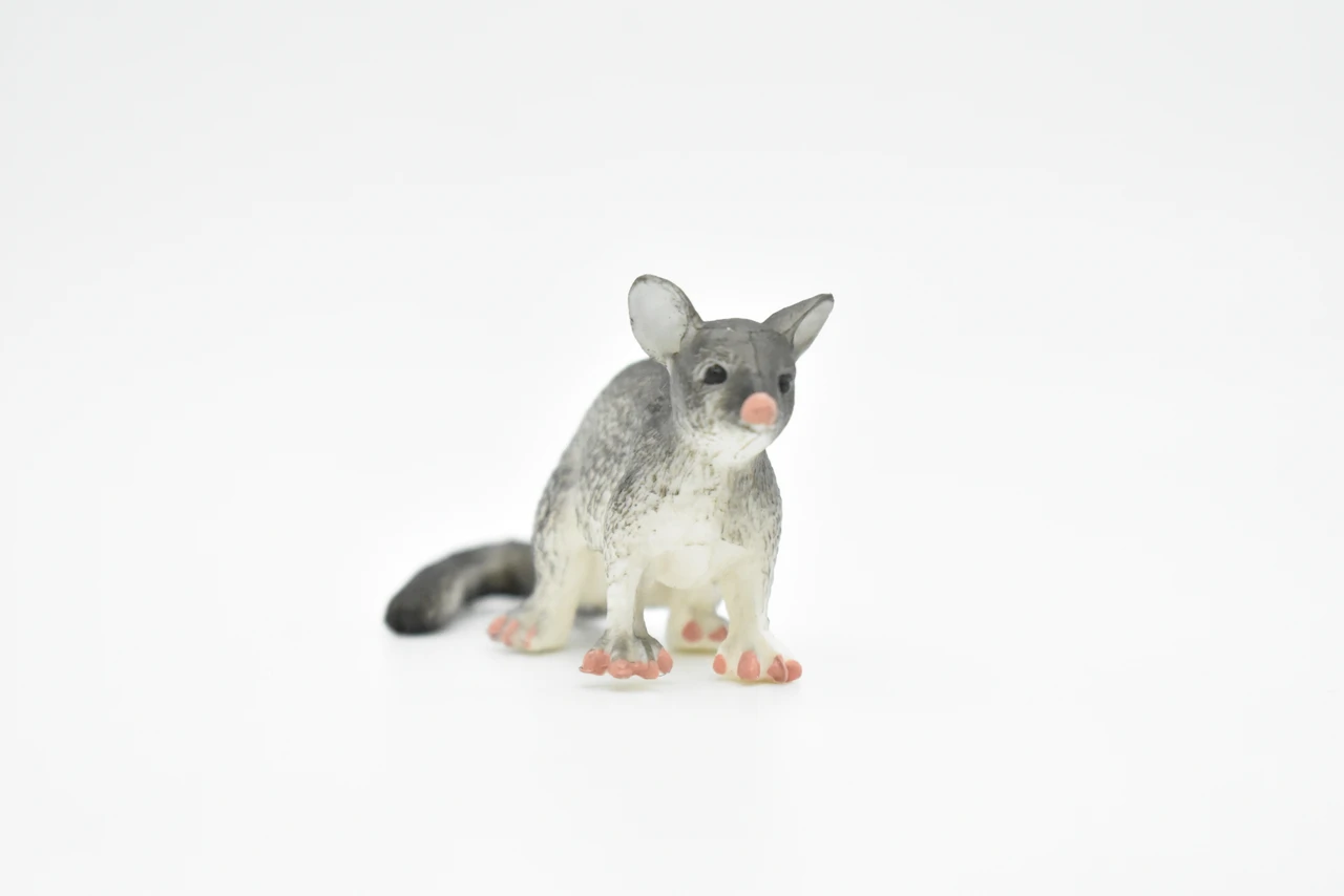 Opossum, Possum, Marsupial, Very Realistic Rubber Figure, Hand Painted, Rubber Mammal, Realistic Toy Figure, Replica, Kids, Educational, 2 1/2 Inches. 